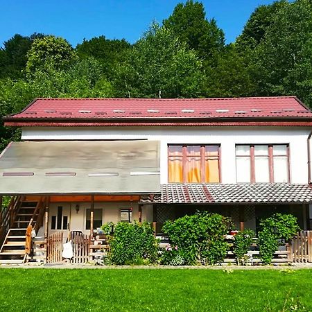 Vila Margareta Curtea de Argeş エクステリア 写真