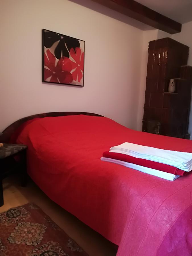Vila Margareta Curtea de Argeş エクステリア 写真