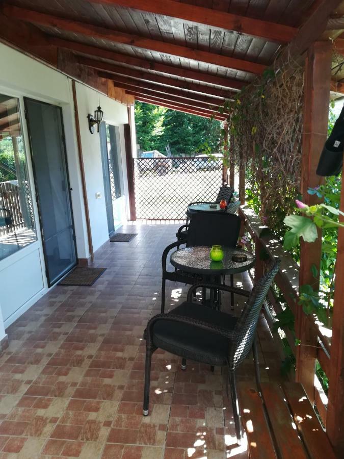 Vila Margareta Curtea de Argeş エクステリア 写真