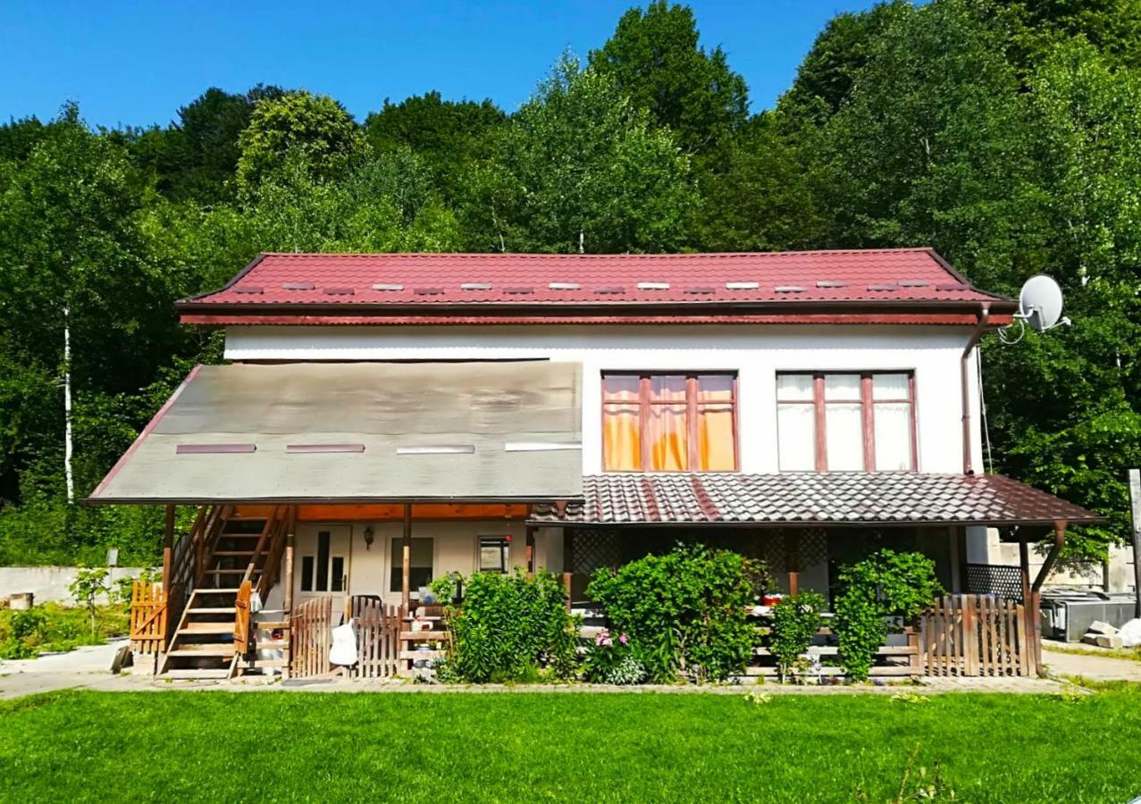 Vila Margareta Curtea de Argeş エクステリア 写真