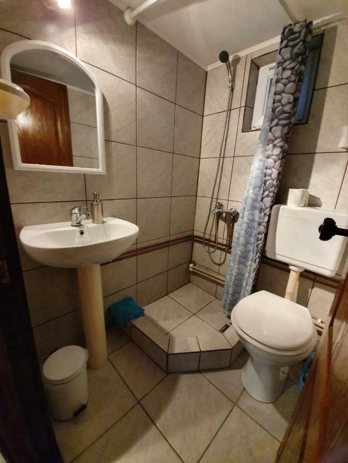 Vila Margareta Curtea de Argeş エクステリア 写真
